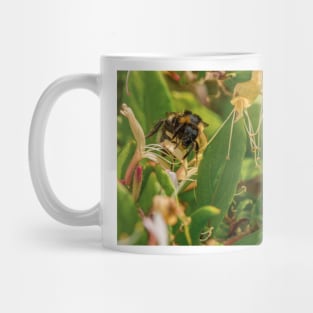 Yet Another Bumble Bee on the Honeysuckle Mug